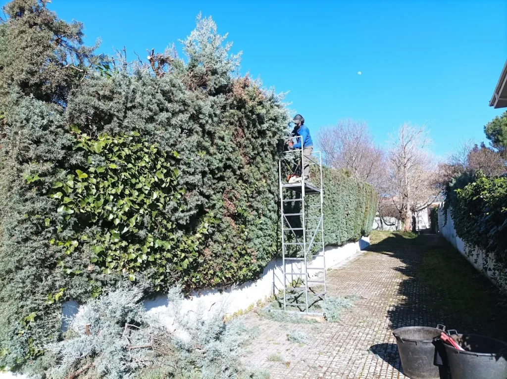 Mantenimiento de jardines en badajoz